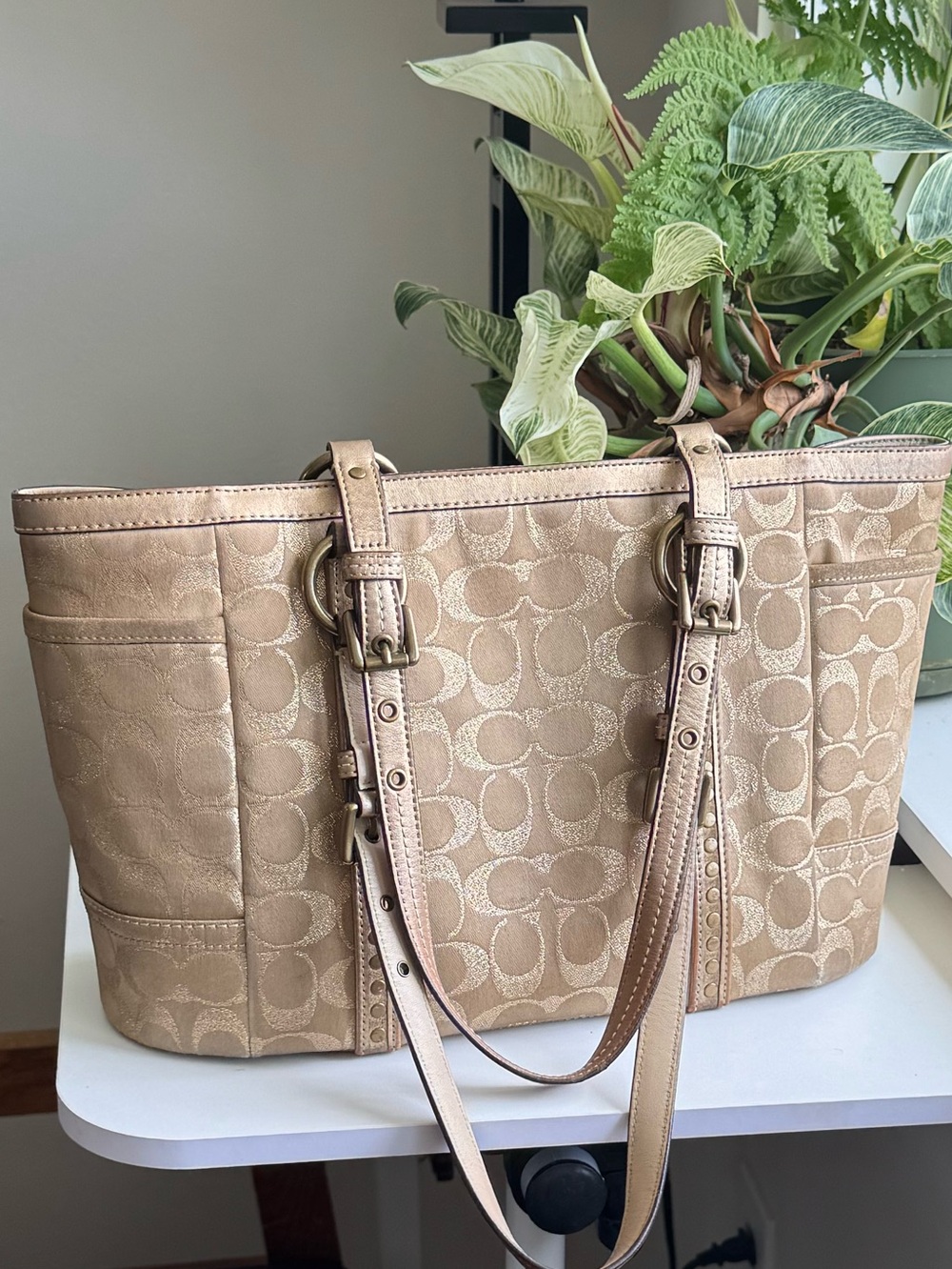 Coach Signature Gold Tote with Studded Straps
#60867-F12853 - Picture 3 of 16